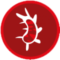 Virus